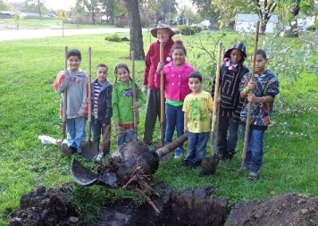 tree planting