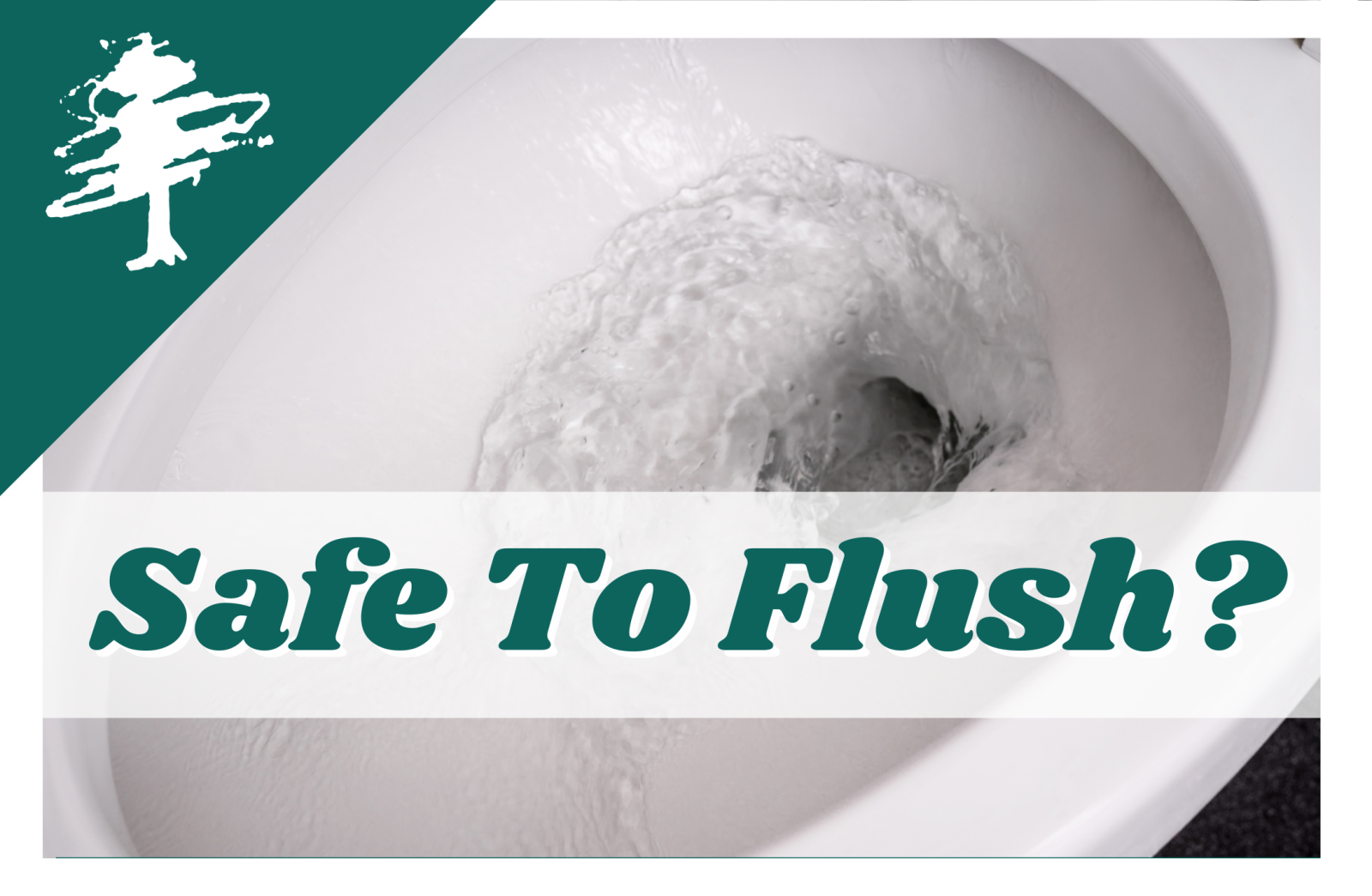 Safe to Flush?