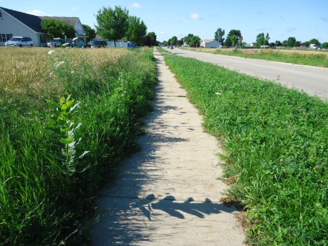 Weed Trimming 2014