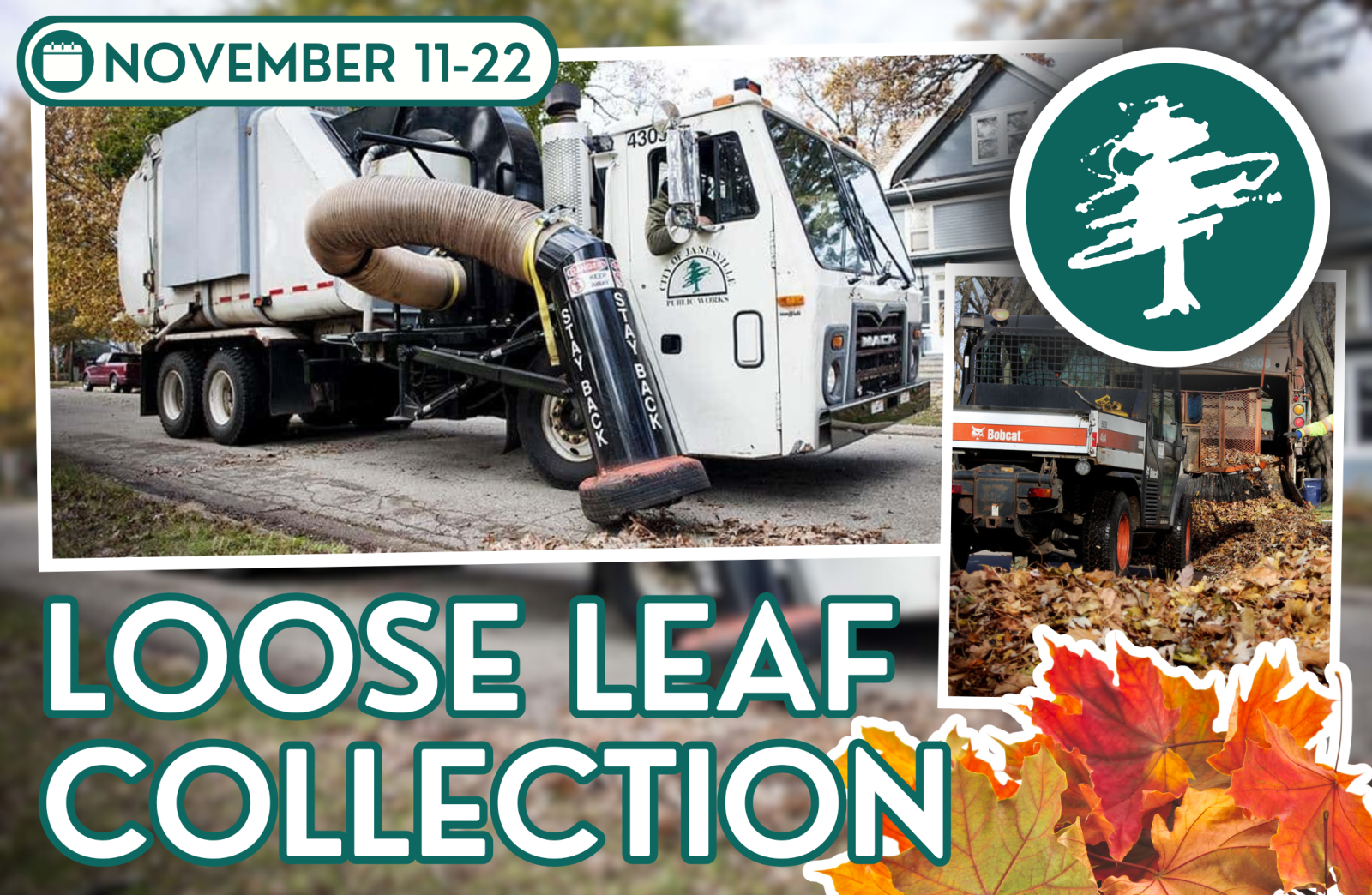 Leaf Collection